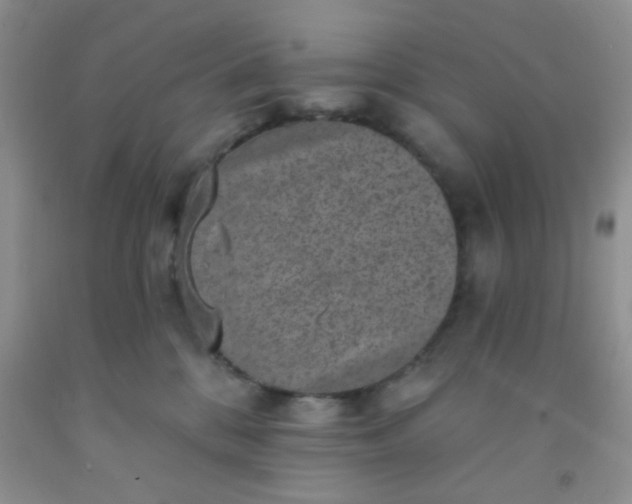 X0000092030328200709201617