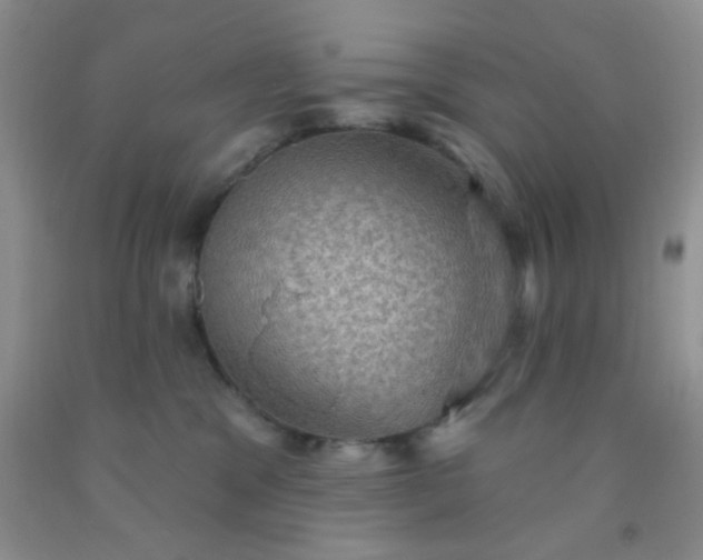 X0000092030329200709201617