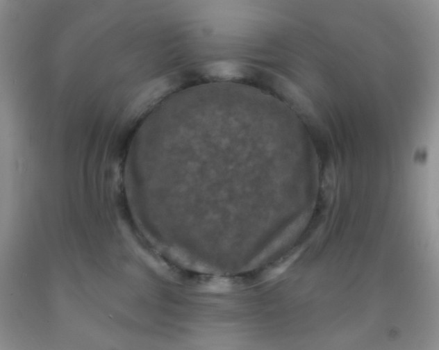 X0000092030330200709201617