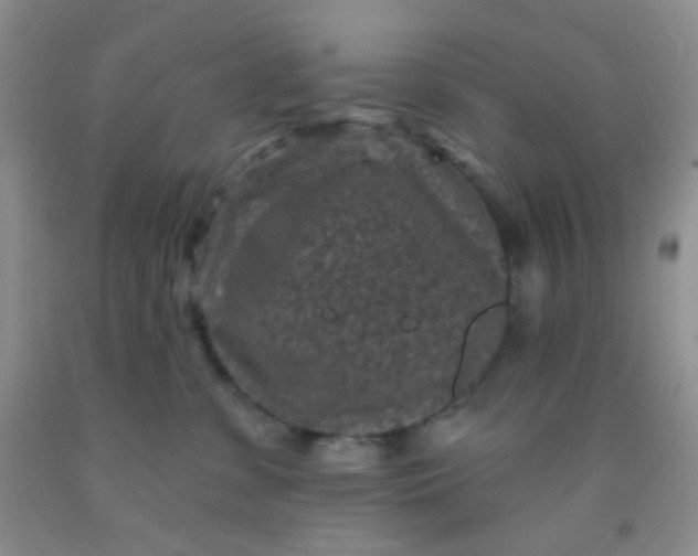 X0000092030331200709201617