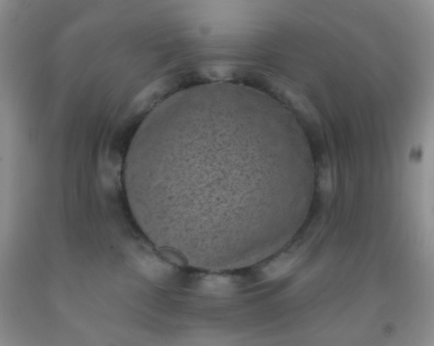 X0000092030332200709201617