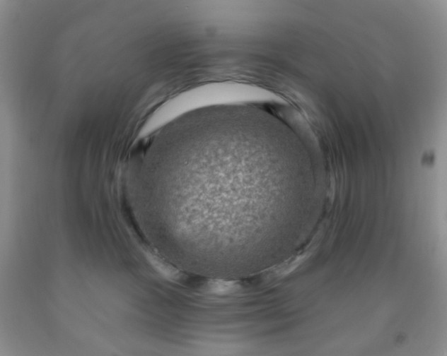 X0000092030333200709201617