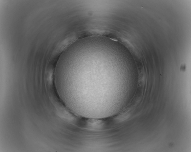 X0000092030334200709201617