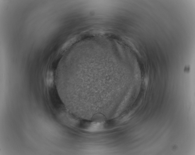 X0000092030335200709201617