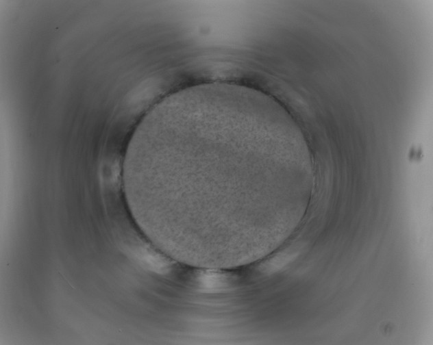 X0000092030336200709201617