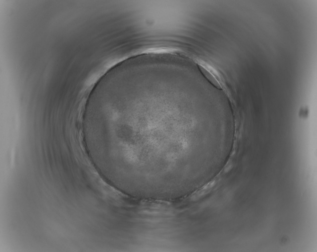 X0000092030337200709201616