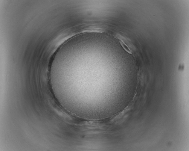 X0000092030338200709201616