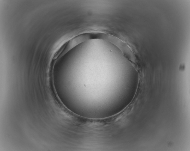 X0000092030340200709201616