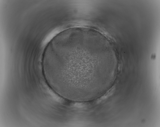 X0000092030341200709201616