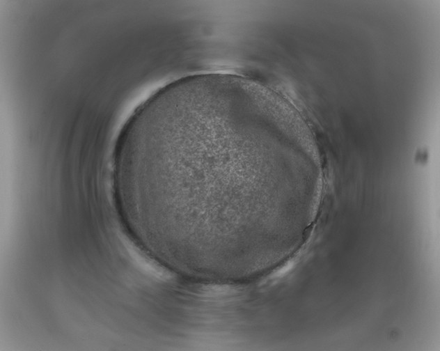 X0000092030342200709201616