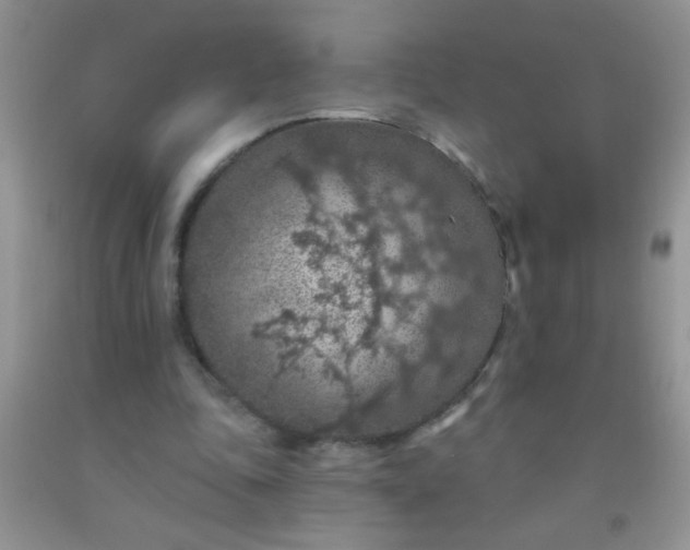 X0000092030343200709201616