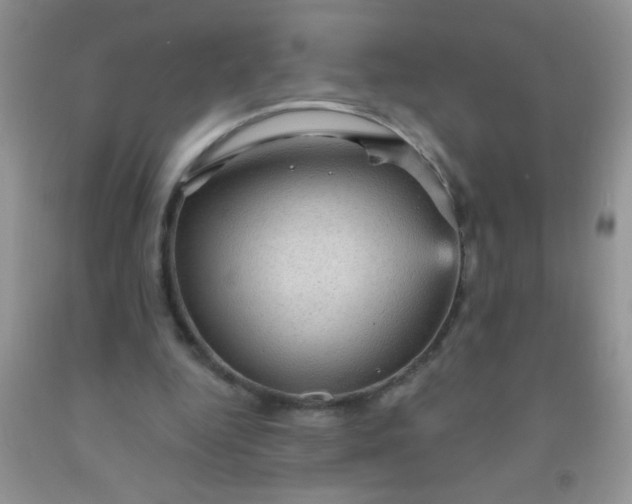 X0000092030344200709201616