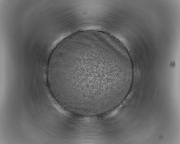 X0000092030345200709201616