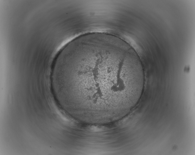 X0000092030346200709201616