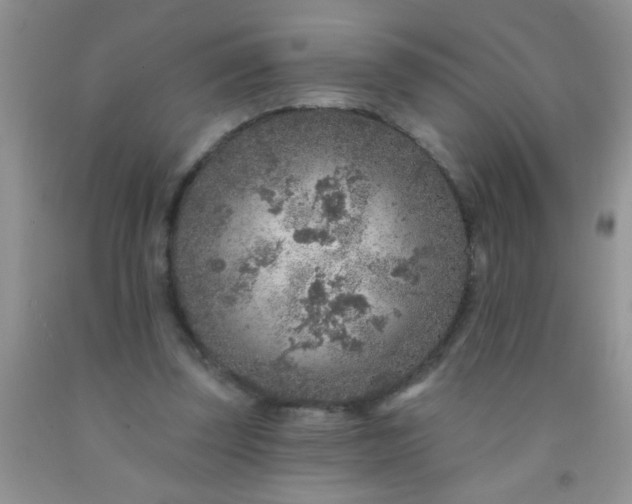 X0000092030347200709201616