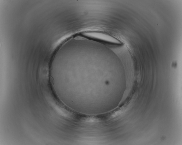 X0000092030348200709201616