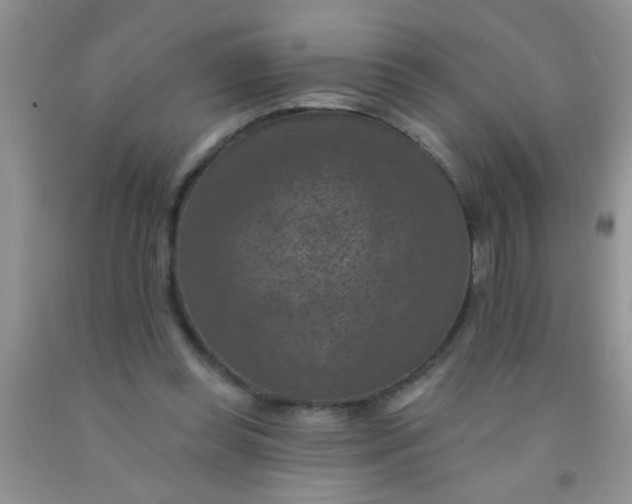 X0000092030349200709201616