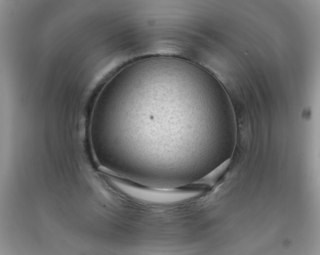 X0000092030350200709201617