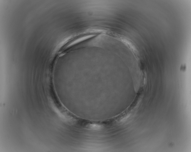 X0000092030352200709201617