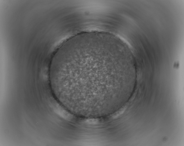 X0000092030353200709201617