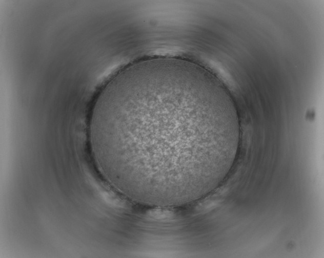 X0000092030354200709201617