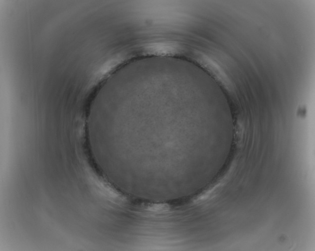 X0000092030355200709201617