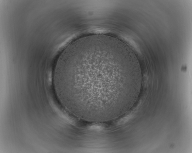 X0000092030358200709201617