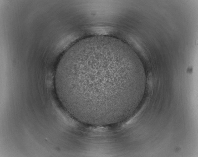 X0000092030359200709201617