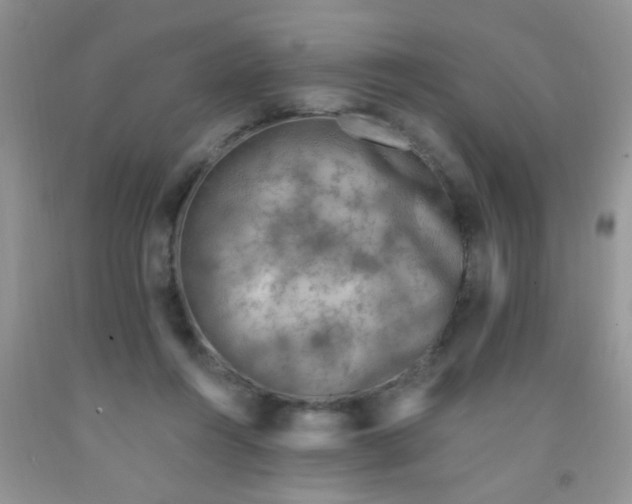 X0000092030360200709201617