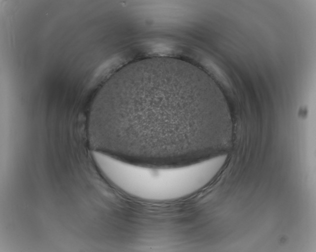 X0000092030361200709201617