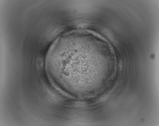 X0000092030363200709201617