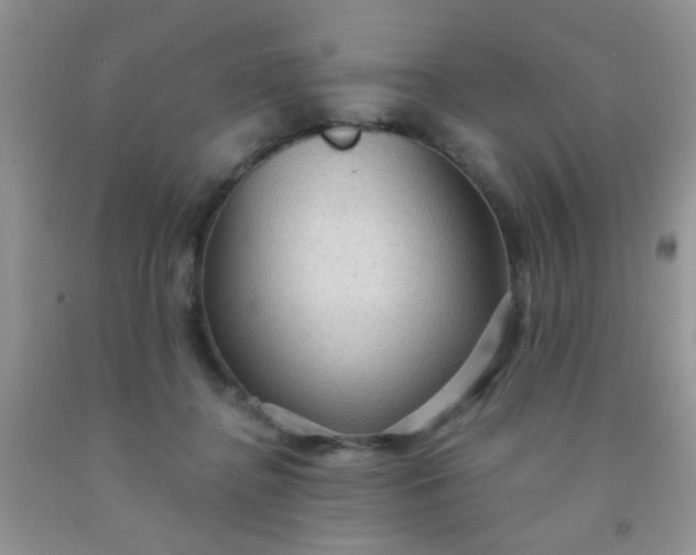 X0000092030364200709201617