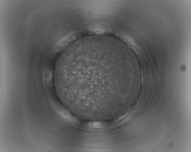 X0000092030365200709201617