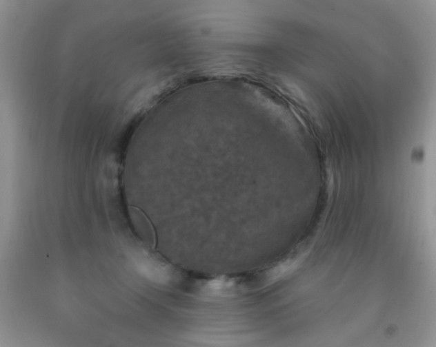 X0000092030366200709201617