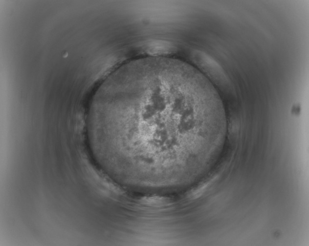 X0000092030367200709201617