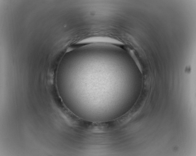 X0000092030368200709201617