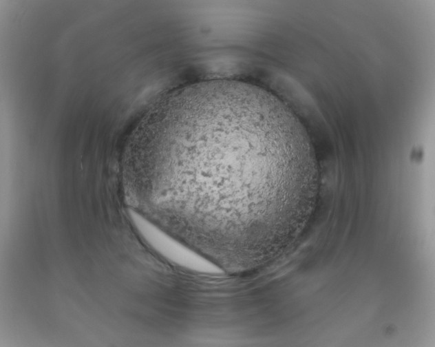 X0000092030369200709201617