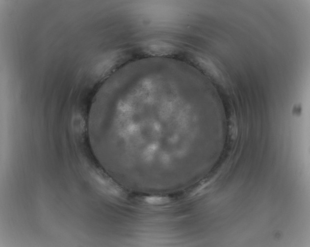 X0000092030371200709201617