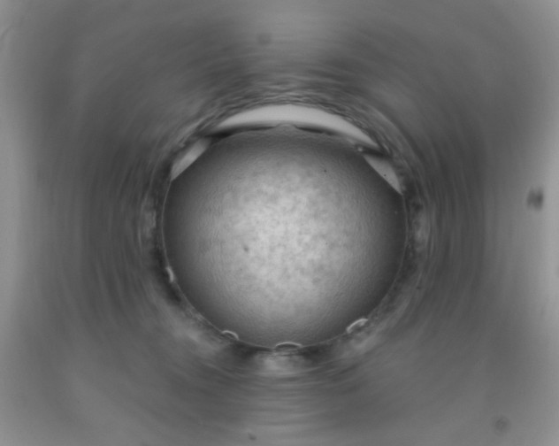 X0000092030372200709201617