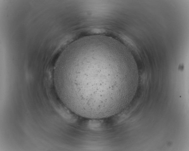 X0000092030373200709201617