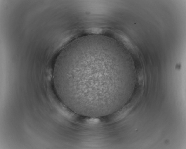 X0000092030374200709201617