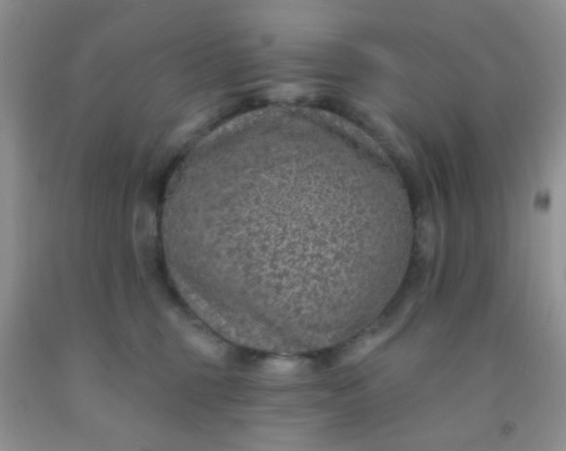 X0000092030375200709201617