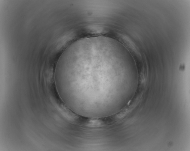 X0000092030376200709201617