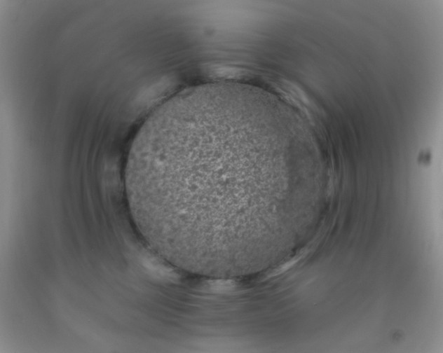 X0000092030377200709201617