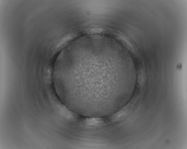 X0000092030378200709201617