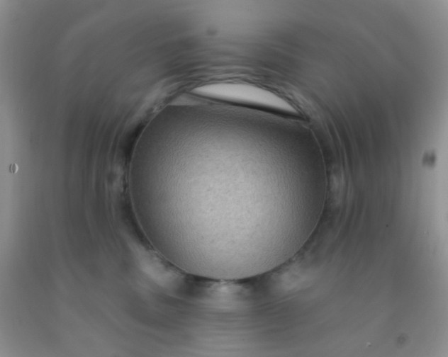 X0000092030379200709201617