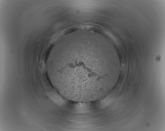 X0000092030381200709201617