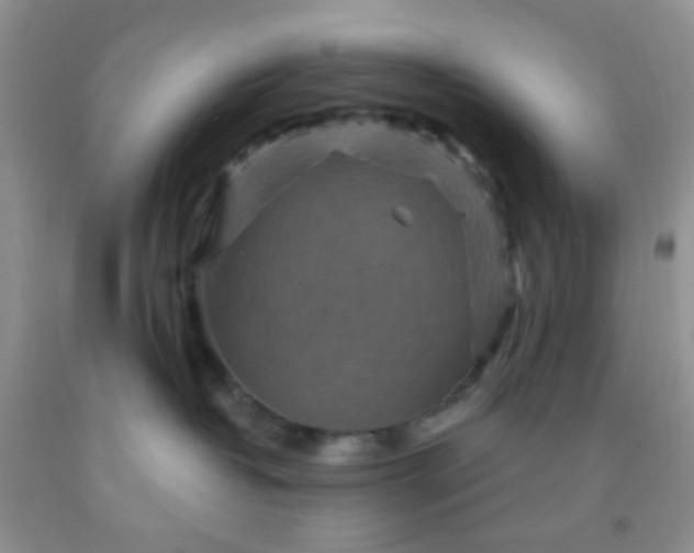 X0000092030382200709201617