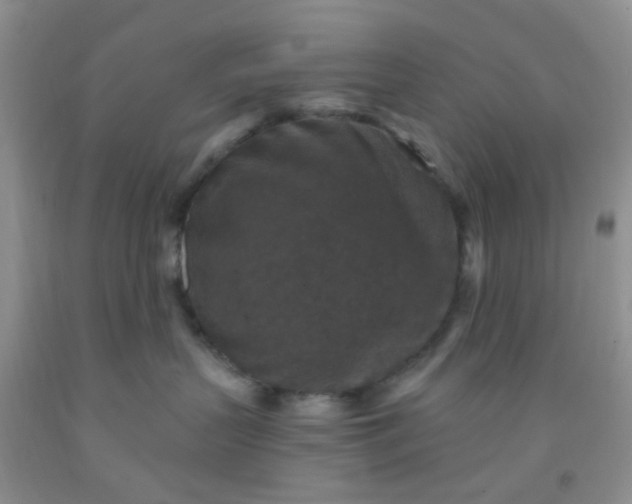 X0000092030383200709201617