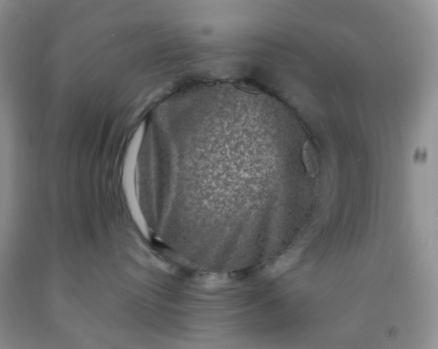 X0000092030384200709201617